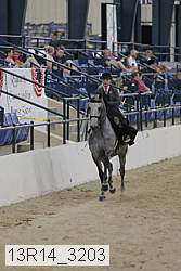 13r14_3203 proof