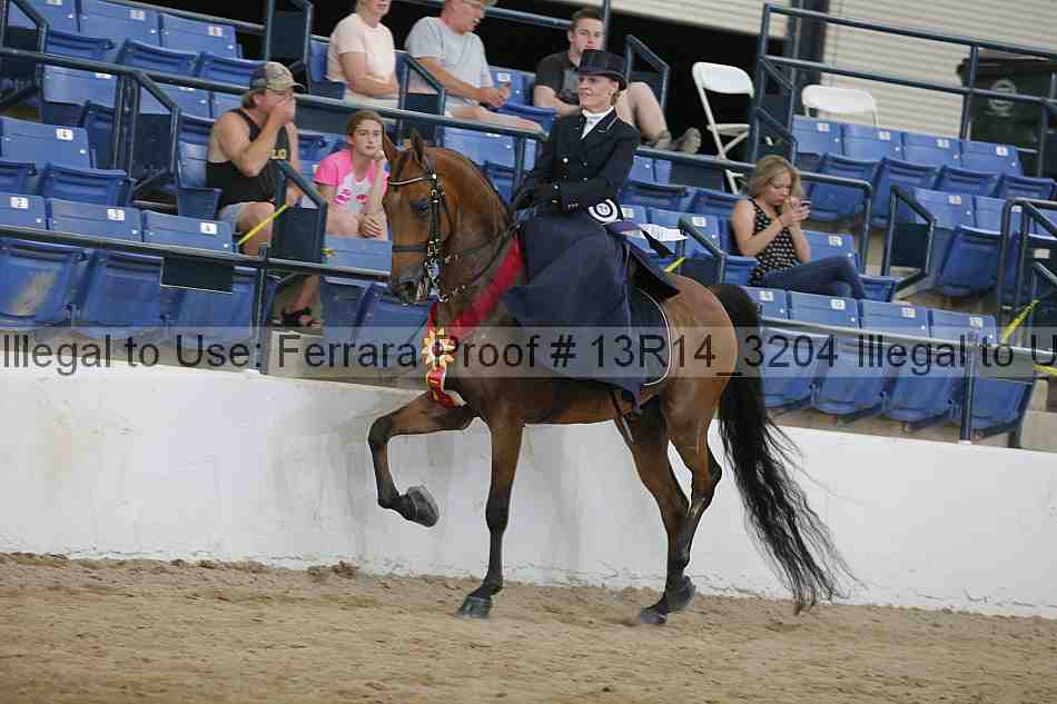 Proof 13r14_3204