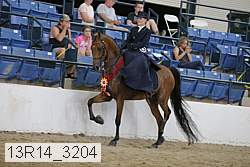 13r14_3204 proof
