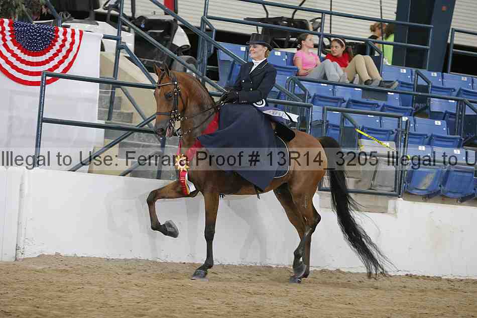 Proof 13r14_3205