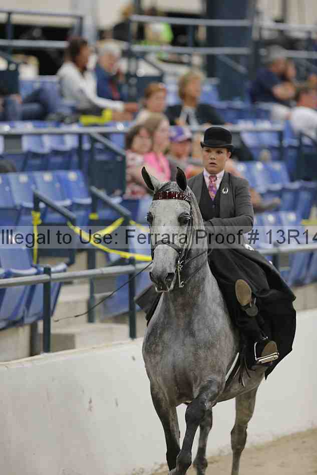 Proof 13r14_3206