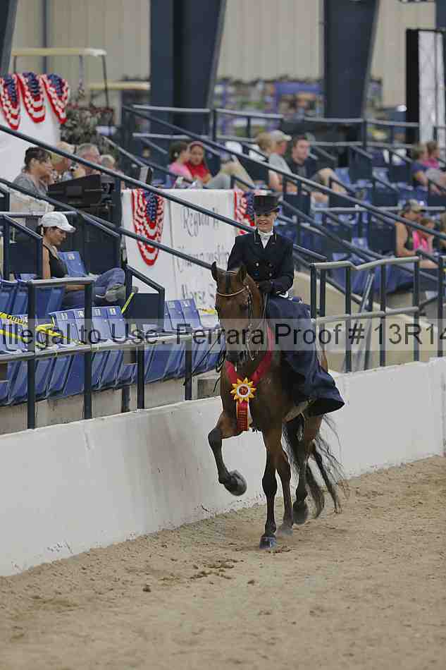 Proof 13r14_3207