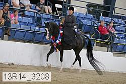 13r14_3208 proof