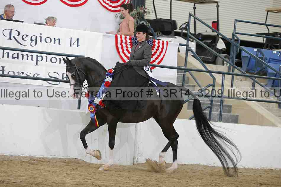 Proof 13r14_3209