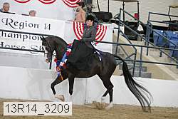 13r14_3209 proof