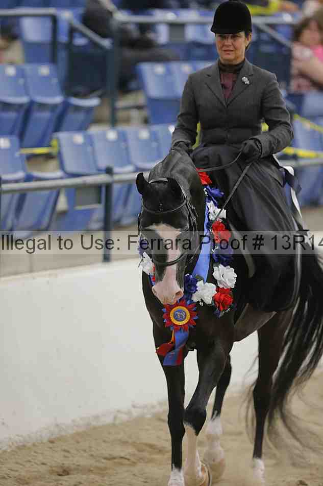 Proof 13r14_3213