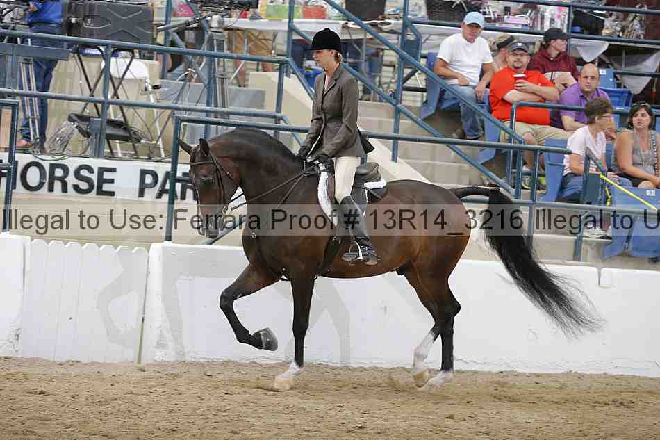 Proof 13r14_3216
