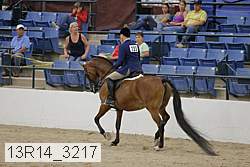 13r14_3217 proof