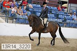 13r14_3220 proof