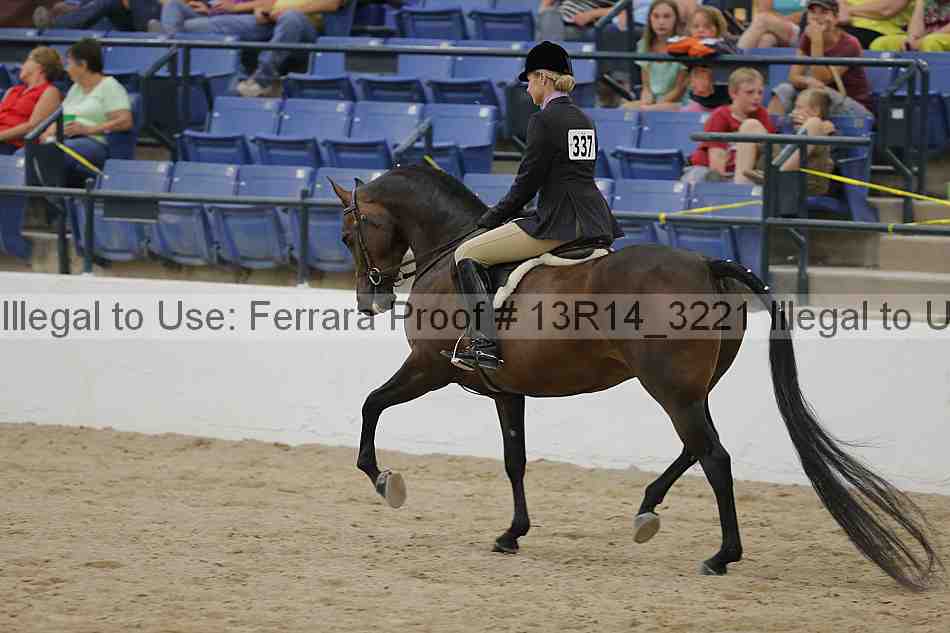 Proof 13r14_3221