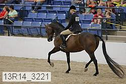 13r14_3221 proof