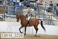 13r14_3224 proof