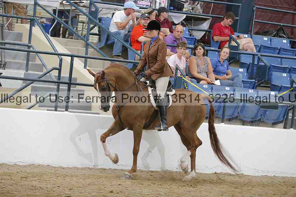 Proof 13r14_3225