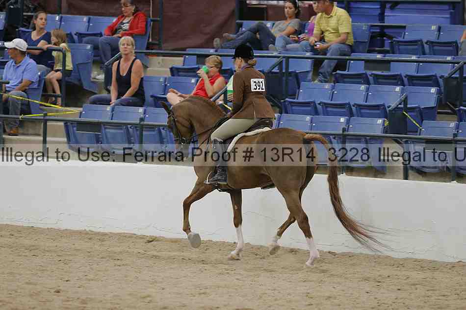Proof 13r14_3228