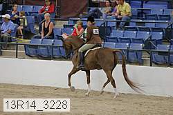 13r14_3228 proof