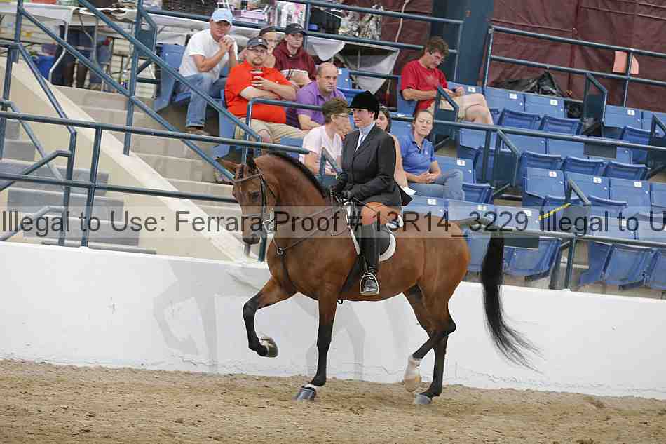 Proof 13r14_3229