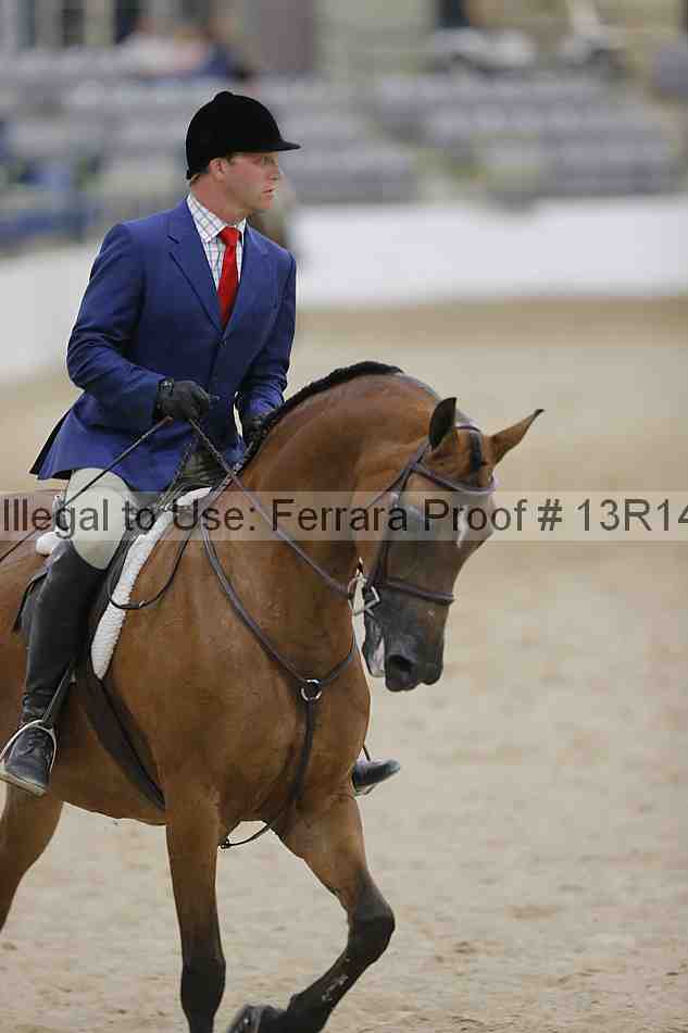 Proof 13r14_3231