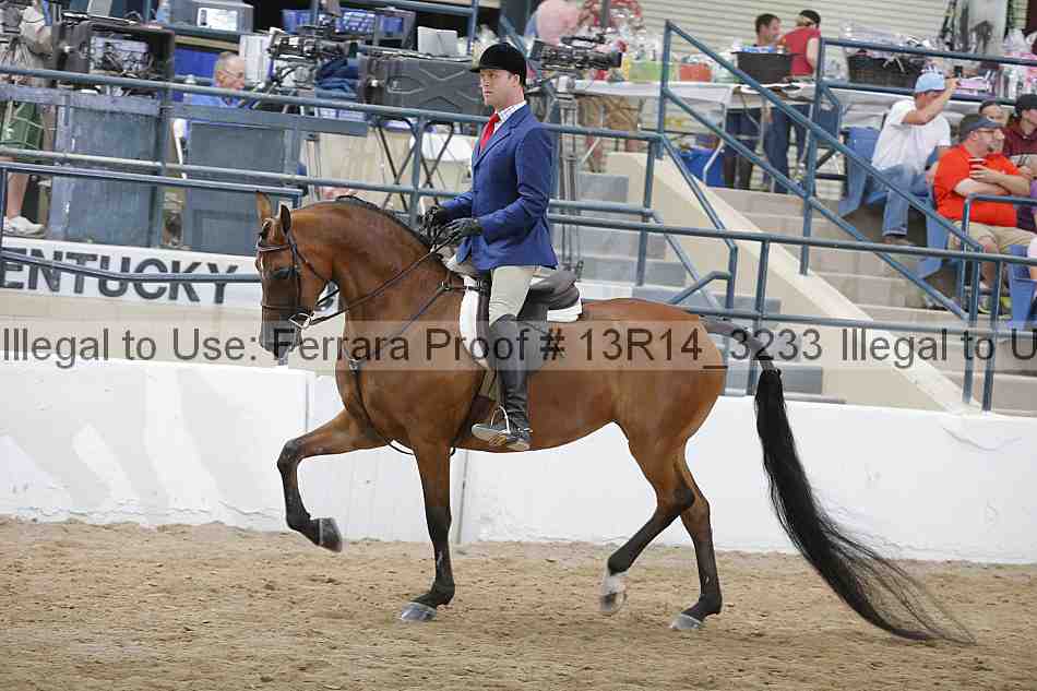 Proof 13r14_3233