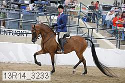13r14_3233 proof