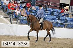 13r14_3235 proof