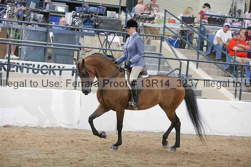 Proof 13r14_3237