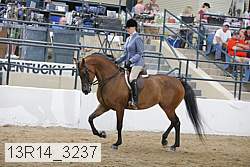 13r14_3237 proof