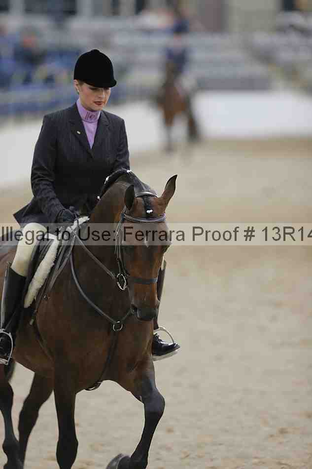 Proof 13r14_3238