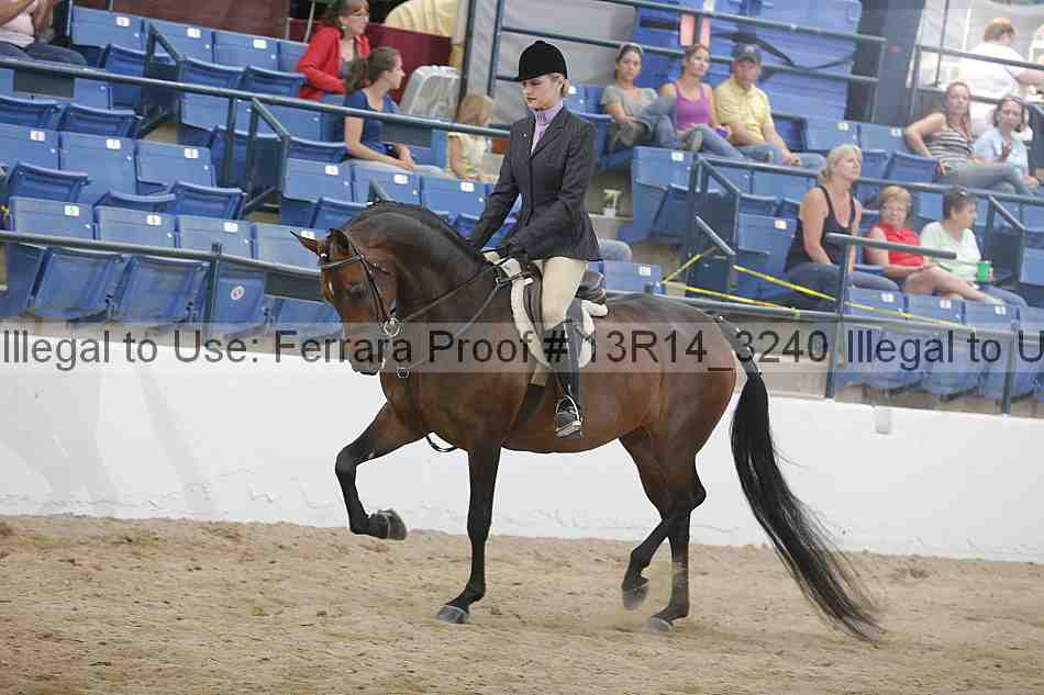 Proof 13r14_3240