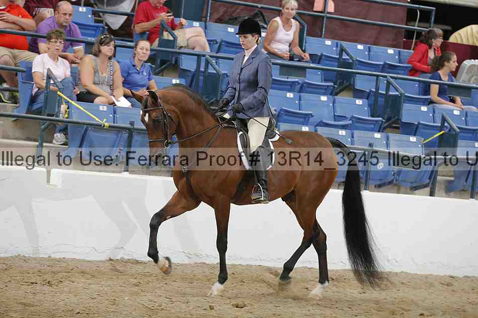 Proof 13r14_3245