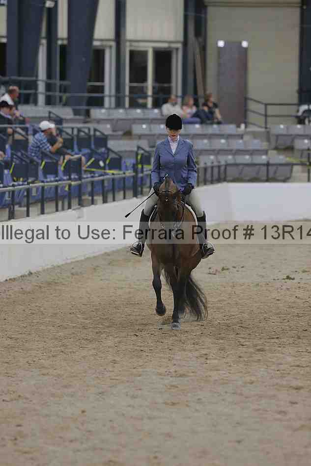 Proof 13r14_3250