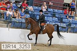 13r14_3253 proof