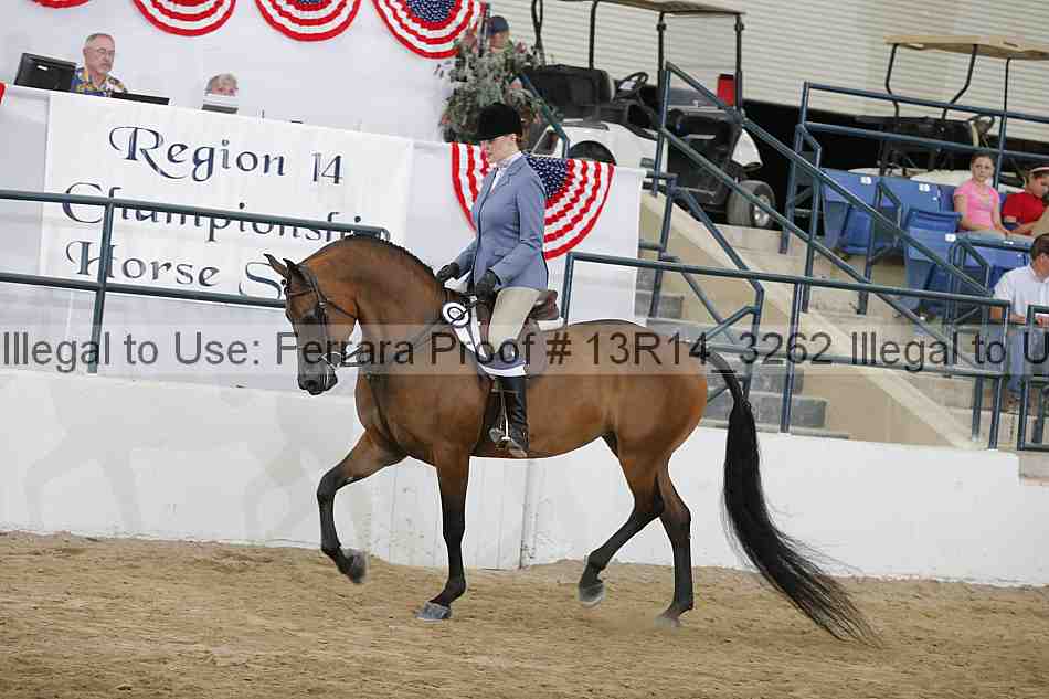 Proof 13r14_3262