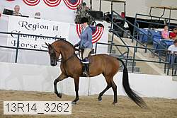 13r14_3262 proof