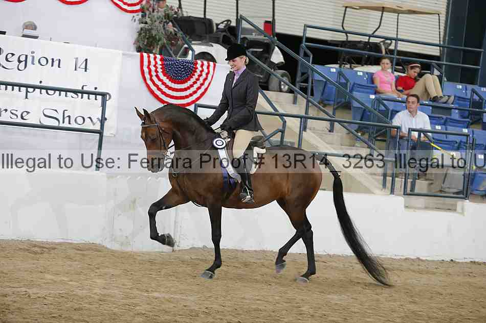 Proof 13r14_3263