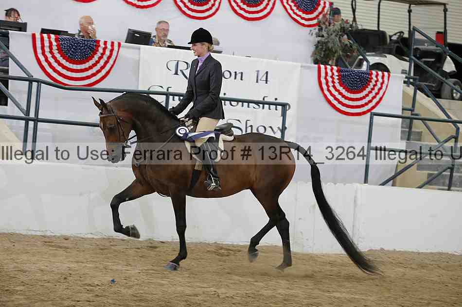 Proof 13r14_3264