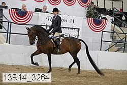 13r14_3264 proof
