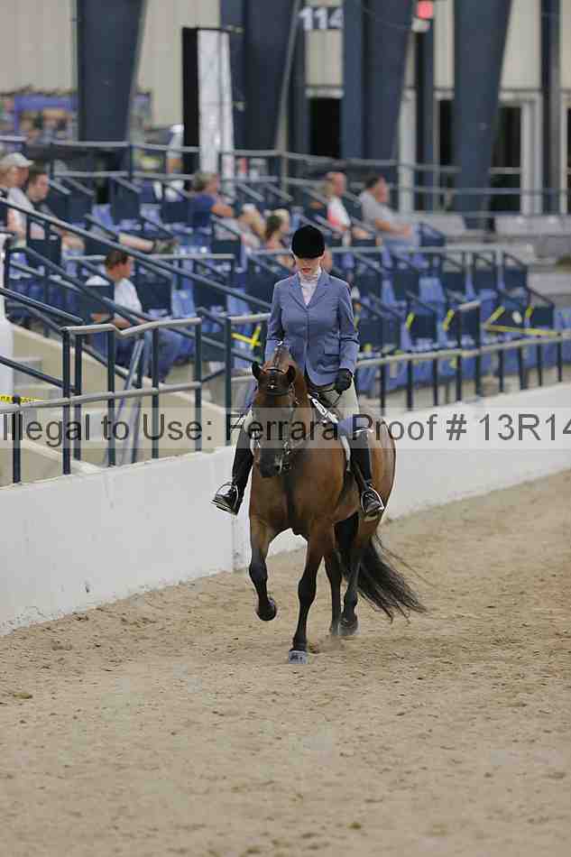 Proof 13r14_3265
