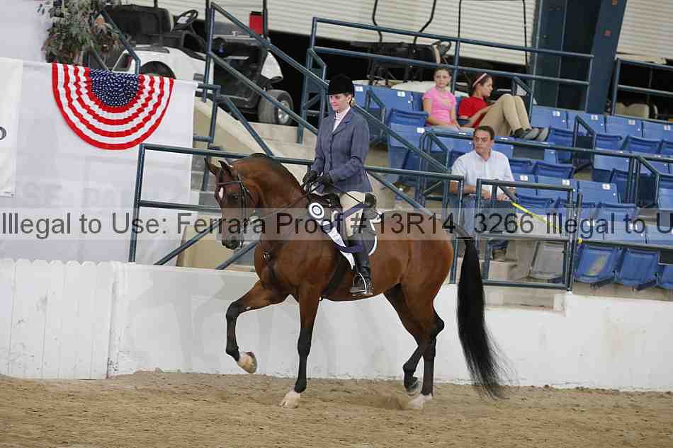 Proof 13r14_3266