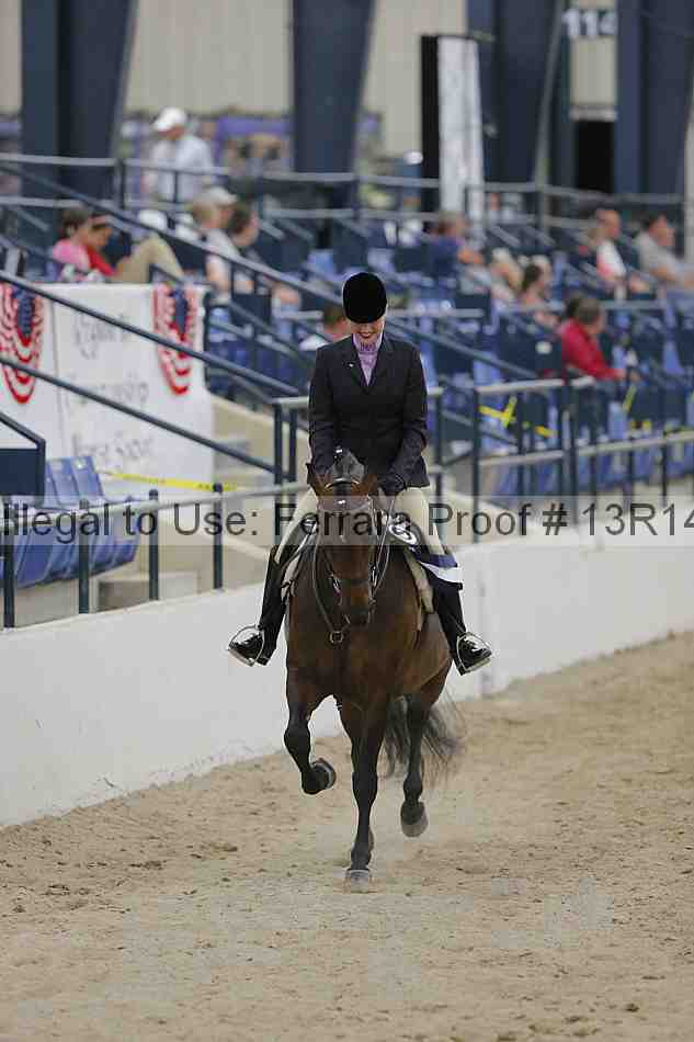 Proof 13r14_3267