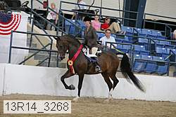 13r14_3268 proof