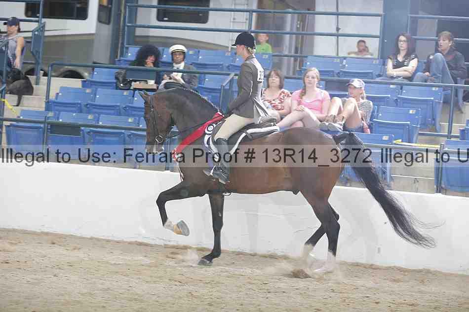 Proof 13r14_3272