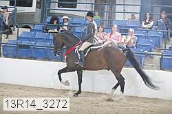 13r14_3272 proof