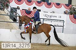 13r14_3275 proof