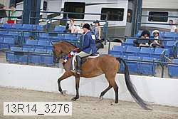 13r14_3276 proof