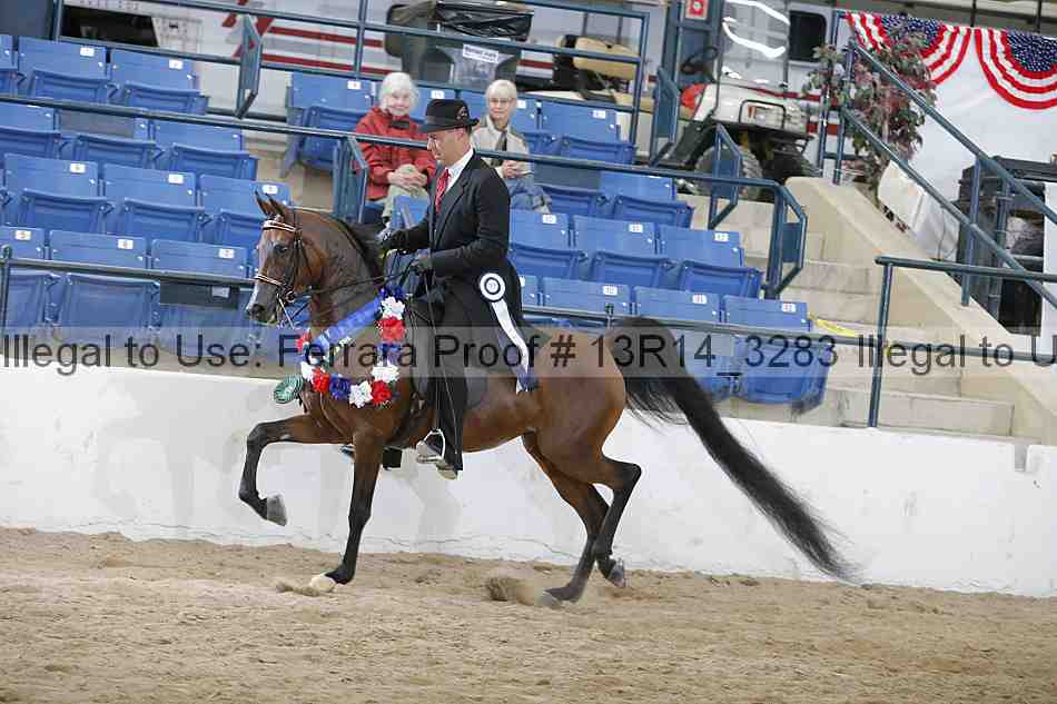 Proof 13r14_3283
