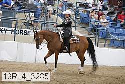 13r14_3285 proof