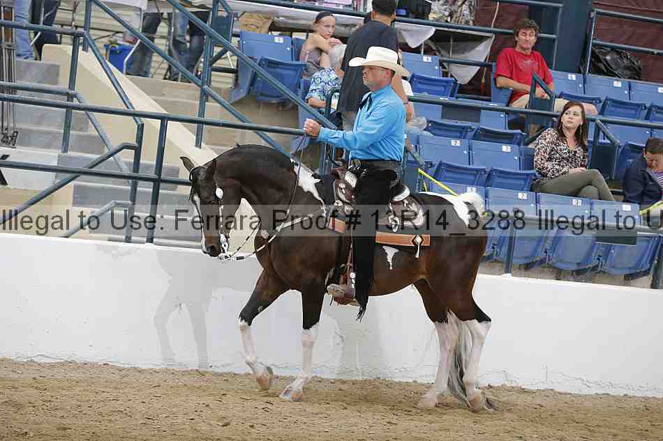 Proof 13r14_3288
