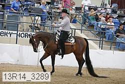 13r14_3289 proof