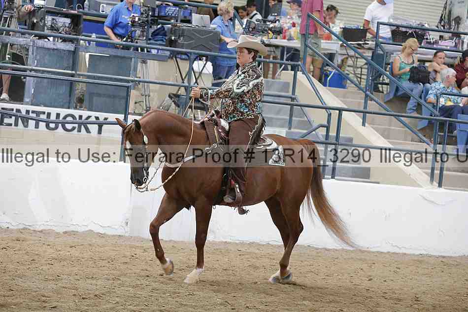 Proof 13r14_3290