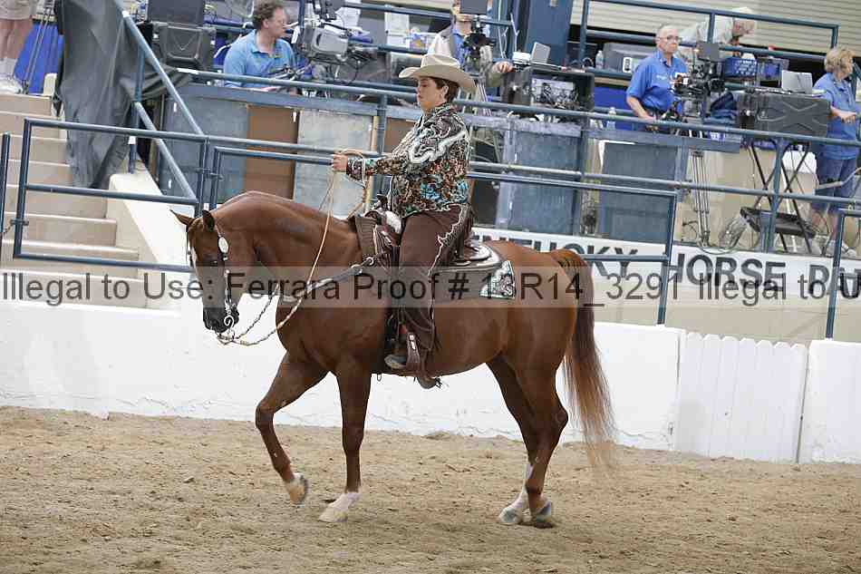 Proof 13r14_3291